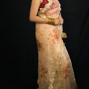 Indian saree organza silk embellished